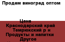 Продам виноград оптом. › Цена ­ 35 - Краснодарский край, Темрюкский р-н Продукты и напитки » Другое   . Краснодарский край